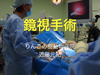 スクリーンショット 2016-08-17 14.38.19.png