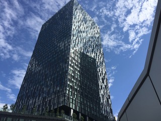 IMG_1096.jpg