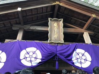 IMG_1880.jpg