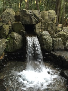 IMG_9978.jpg